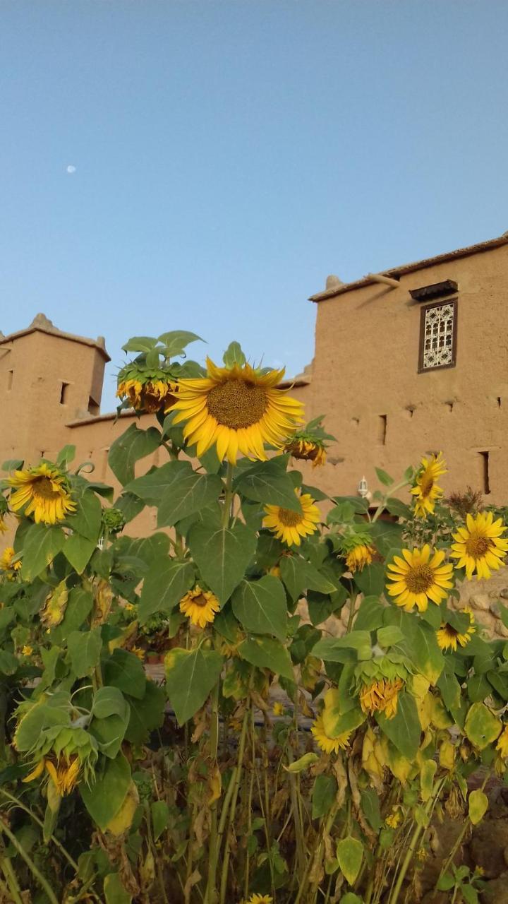 Hotel Kasbah Izoran Midelt Zewnętrze zdjęcie