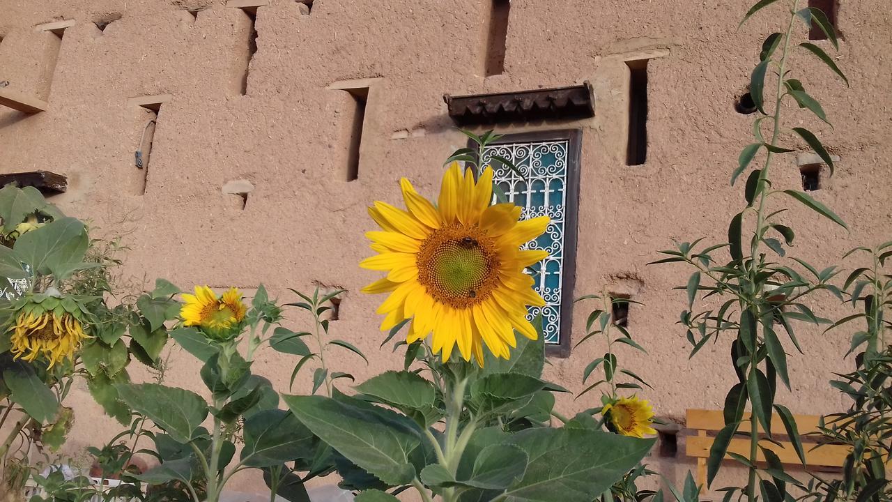 Hotel Kasbah Izoran Midelt Zewnętrze zdjęcie