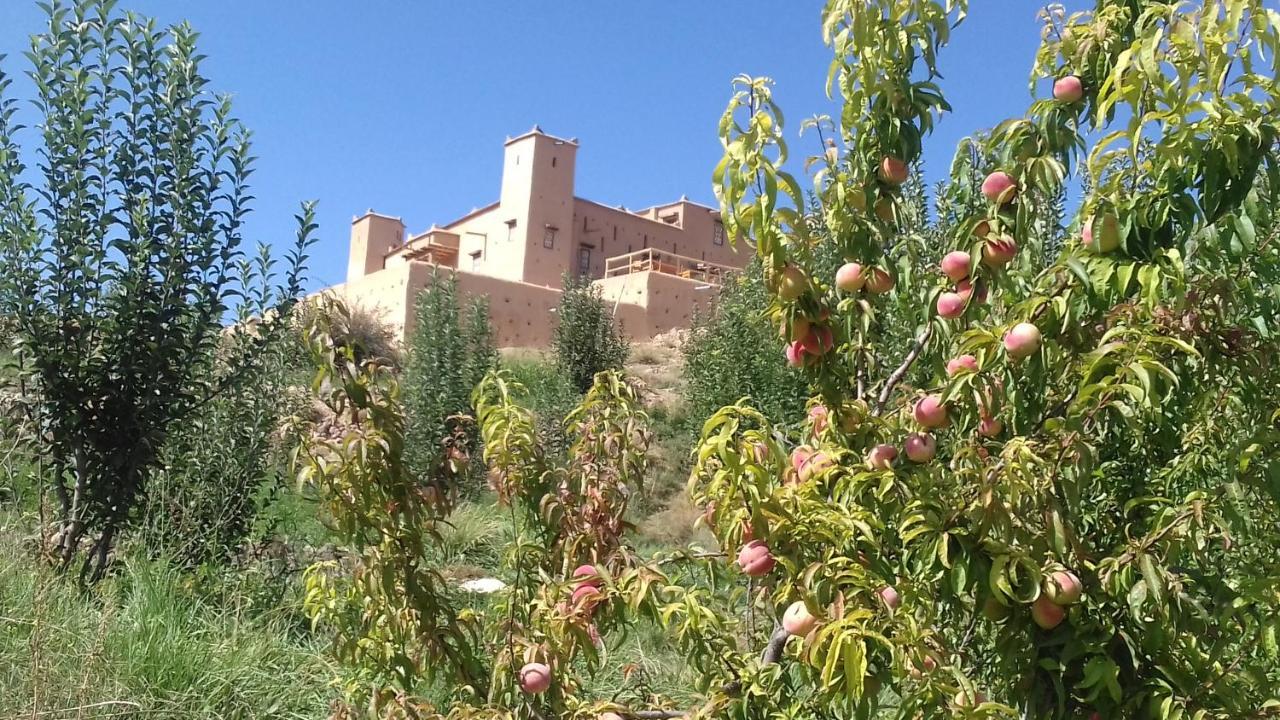 Hotel Kasbah Izoran Midelt Zewnętrze zdjęcie